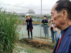 超級稻啟動收割畝產(chǎn)1149公斤,創(chuàng)世界水稻單產(chǎn)紀(jì)錄