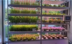 鋁型材有機(jī)蔬菜種植架