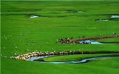 一季度內(nèi)蒙古對(duì)東盟國(guó)家出口鋁材達(dá)1萬(wàn)噸