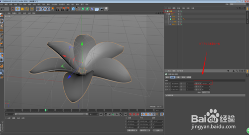 C4D怎么制作花朵開放的動畫效果