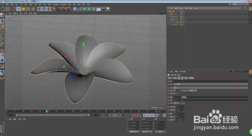 C4D怎么制作花朵開放的動畫效果