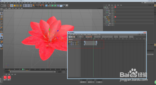 C4D怎么制作花朵開放的動畫效果