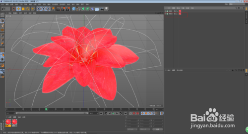 C4D怎么制作花朵開放的動畫效果