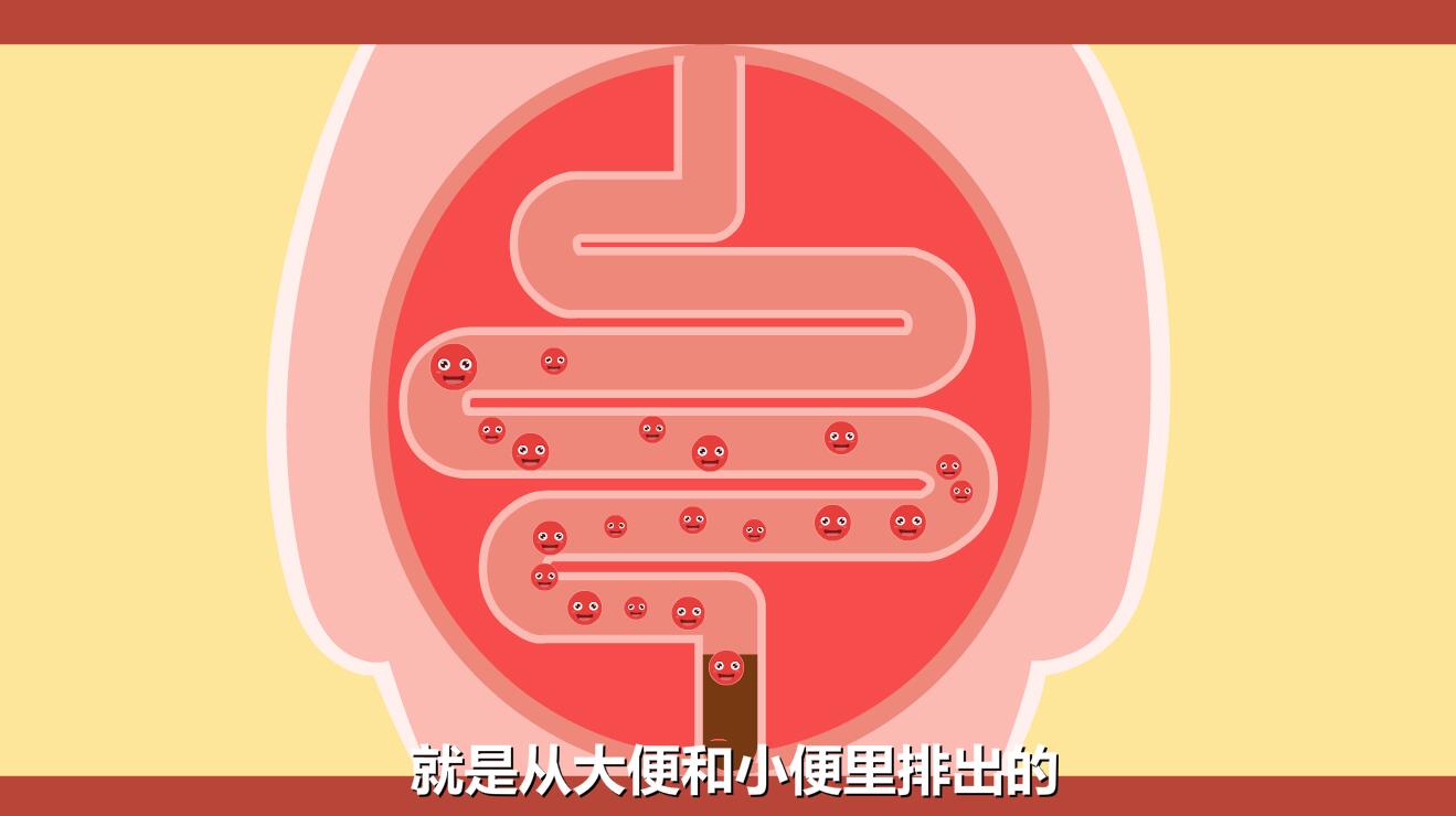 新生兒黃疸怎么退的快？膽紅素跟隨大小便排除體外.jpg