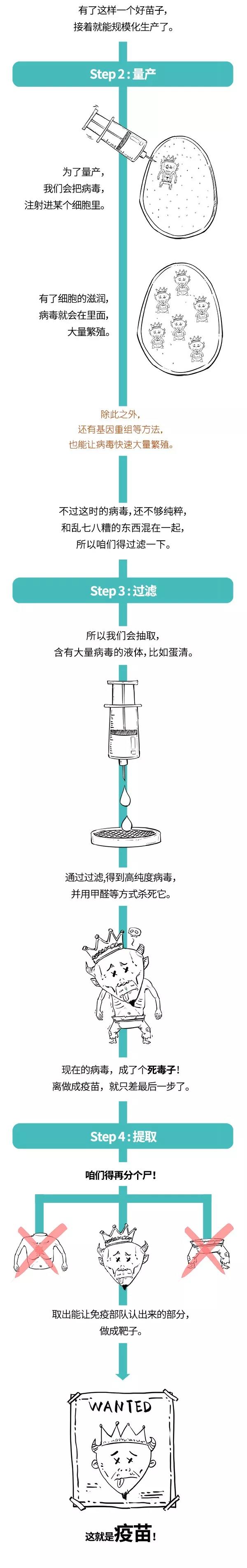 疫苗的規(guī)模化生產.jpg