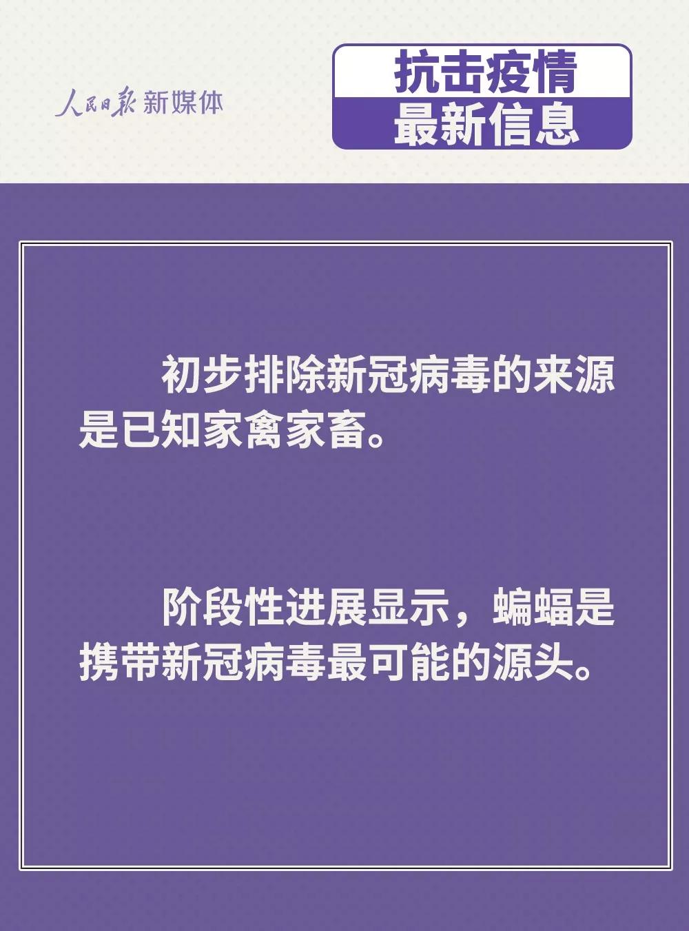 防控新型冠狀病毒：雞鴨會傳播病毒？疫苗研究得怎樣？.jpg