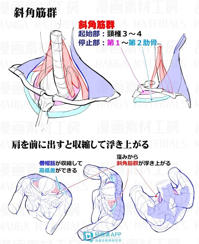 黃鶴樓動(dòng)漫