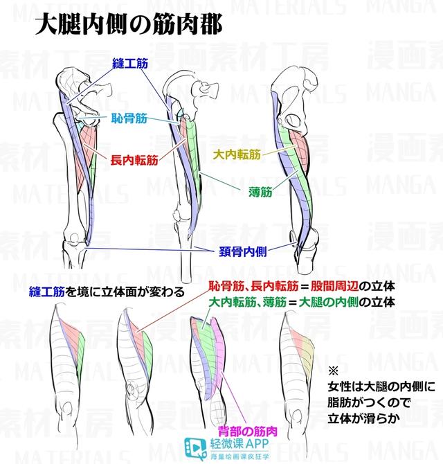 黃鶴樓動漫