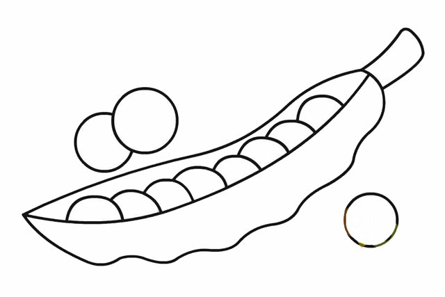 豌豆簡(jiǎn)筆畫