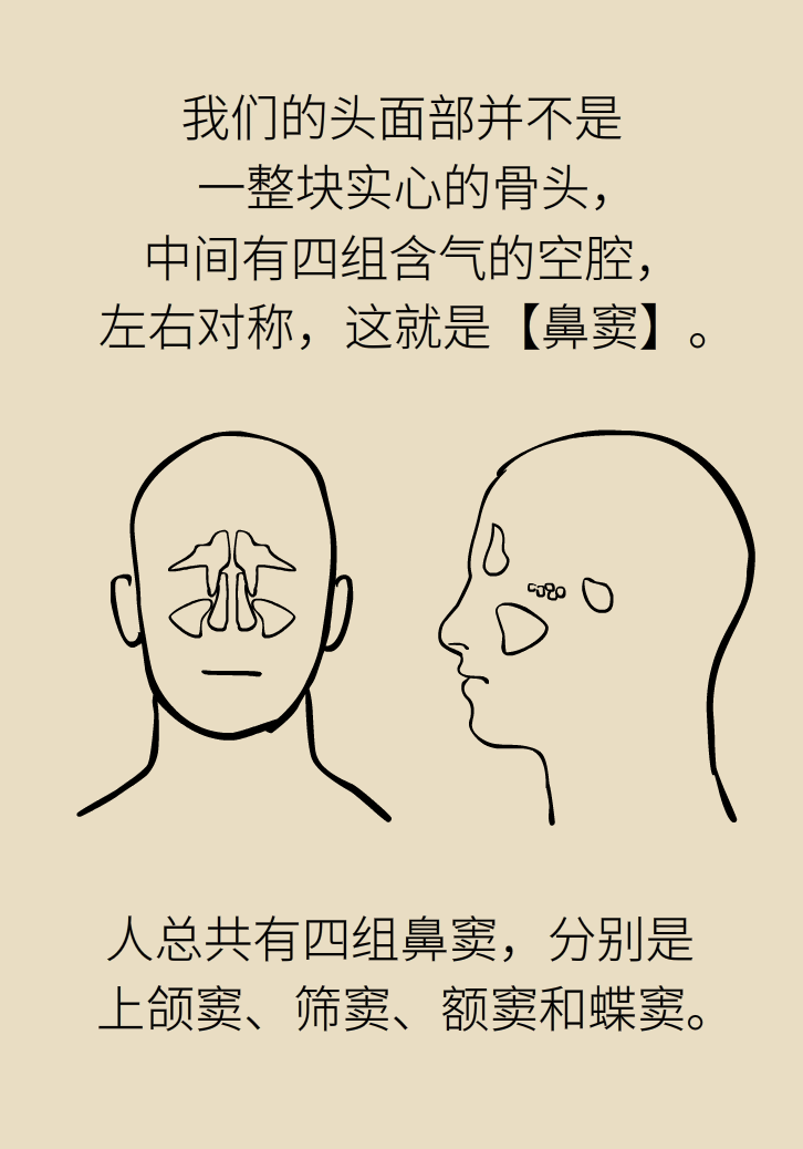 為什么鼻竇發(fā)炎，疼的卻是頭、眼和牙？