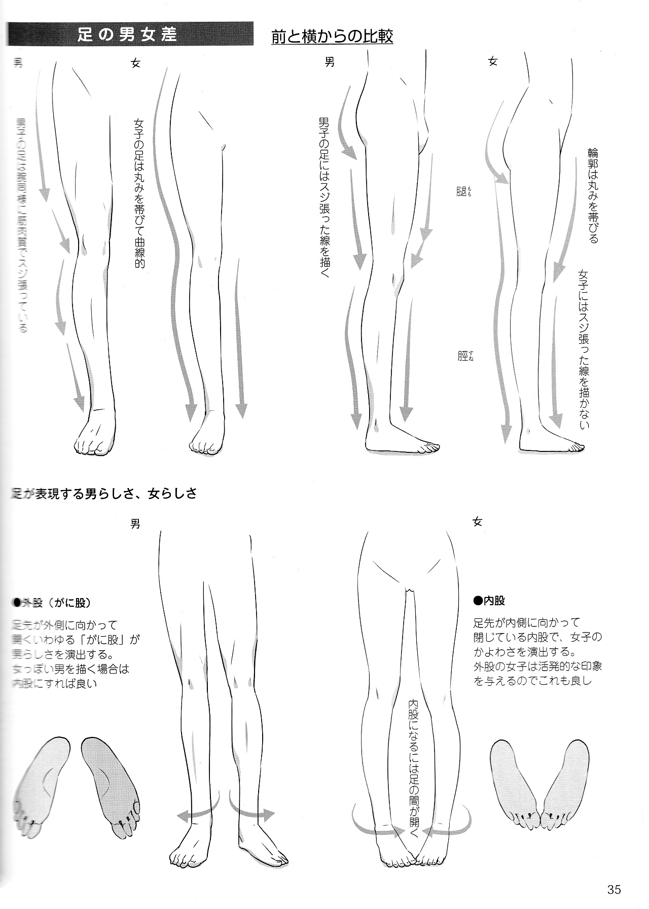 男女比例的差別怎么畫(huà)？