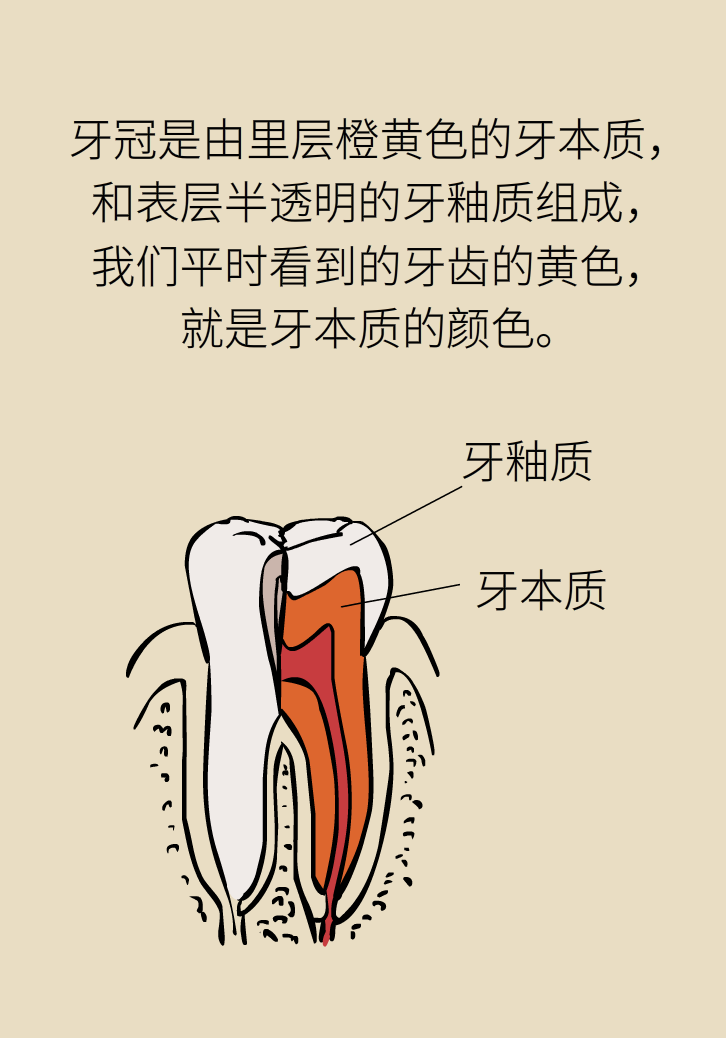 牙太黃，這些“美白”方法管用嗎？