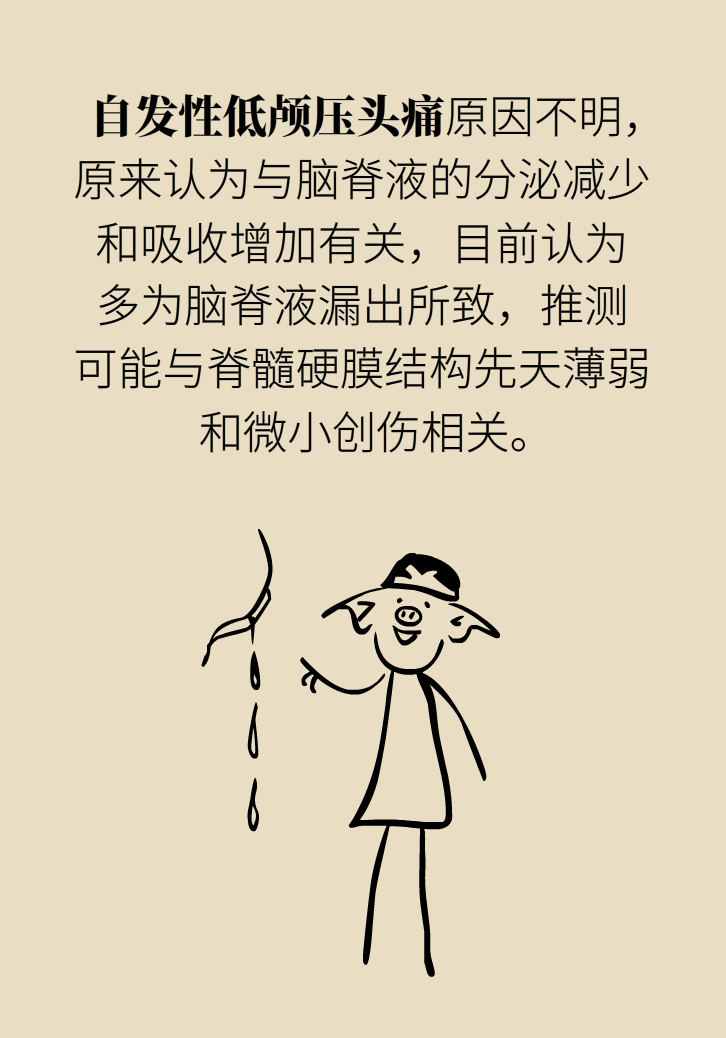 練瑜伽把腦脊液拉漏了！常見的“瑜伽病”你知道多少