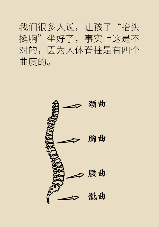 正確坐姿科普動(dòng)漫制作：抬頭挺胸竟然不是最正確的姿勢(shì)？