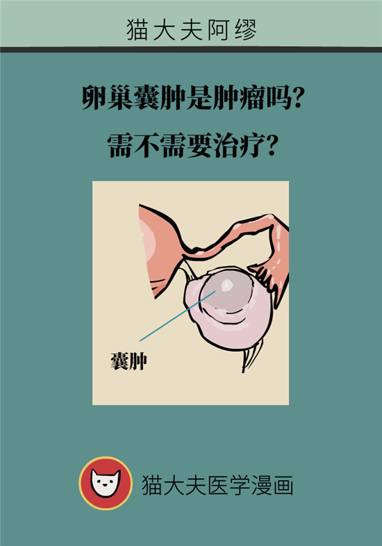 卵巢囊腫科普動(dòng)漫：卵巢囊腫是腫瘤嗎？要學(xué)會(huì)這樣區(qū)分