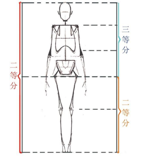 「動漫設(shè)計教程」人體繪畫基礎(chǔ) part 01 認識骨骼（1）