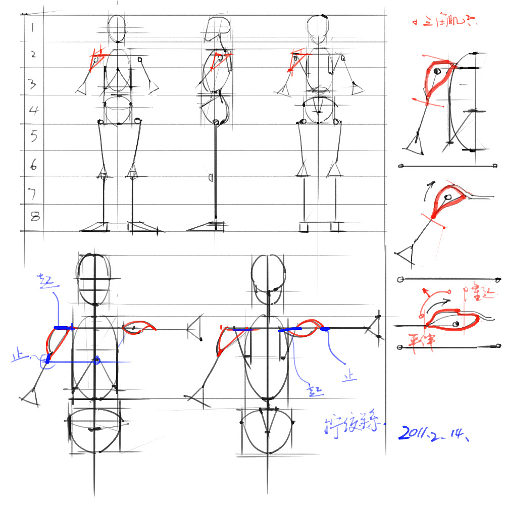 「動漫設(shè)計」分享一波繪畫專用人體解剖素材 part 02