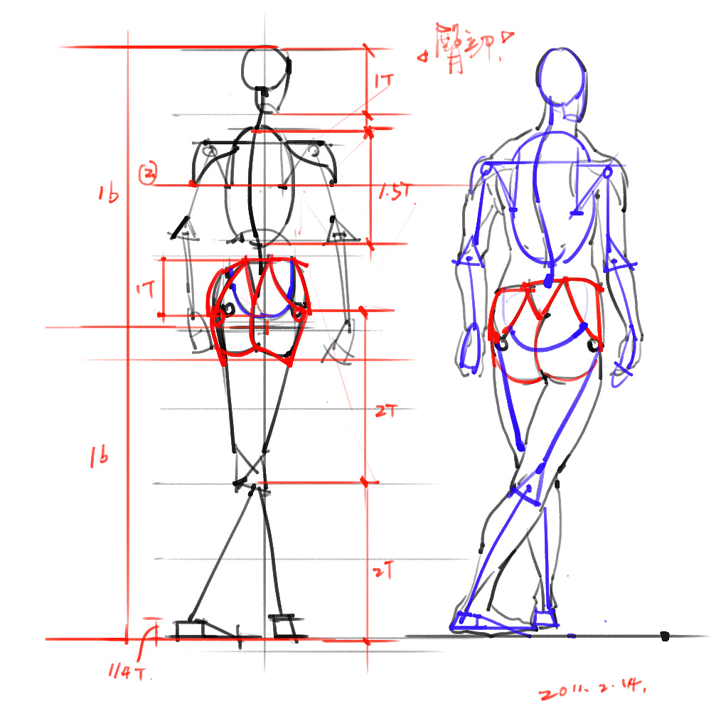 「動漫設(shè)計」分享一波繪畫專用人體解剖素材 part 02