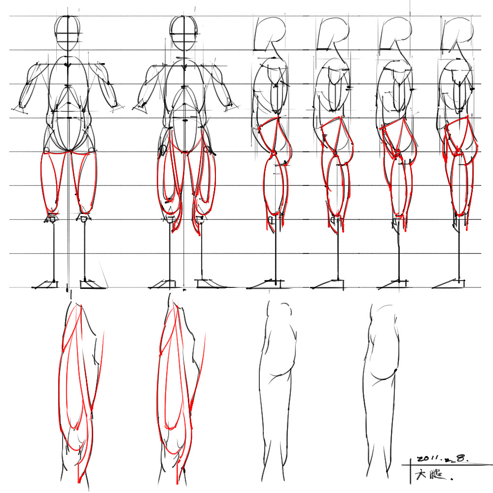 「動漫設(shè)計」分享一波繪畫專用人體解剖素材 part 04