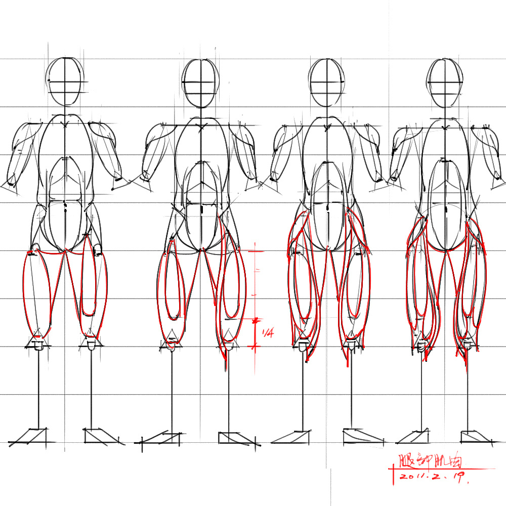「動漫設(shè)計」分享一波繪畫專用人體解剖素材 part 04