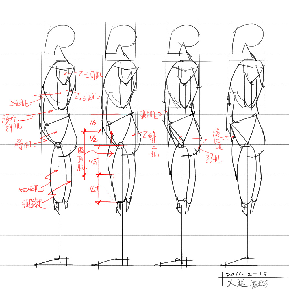 「動漫設(shè)計」分享一波繪畫專用人體解剖素材 part 04