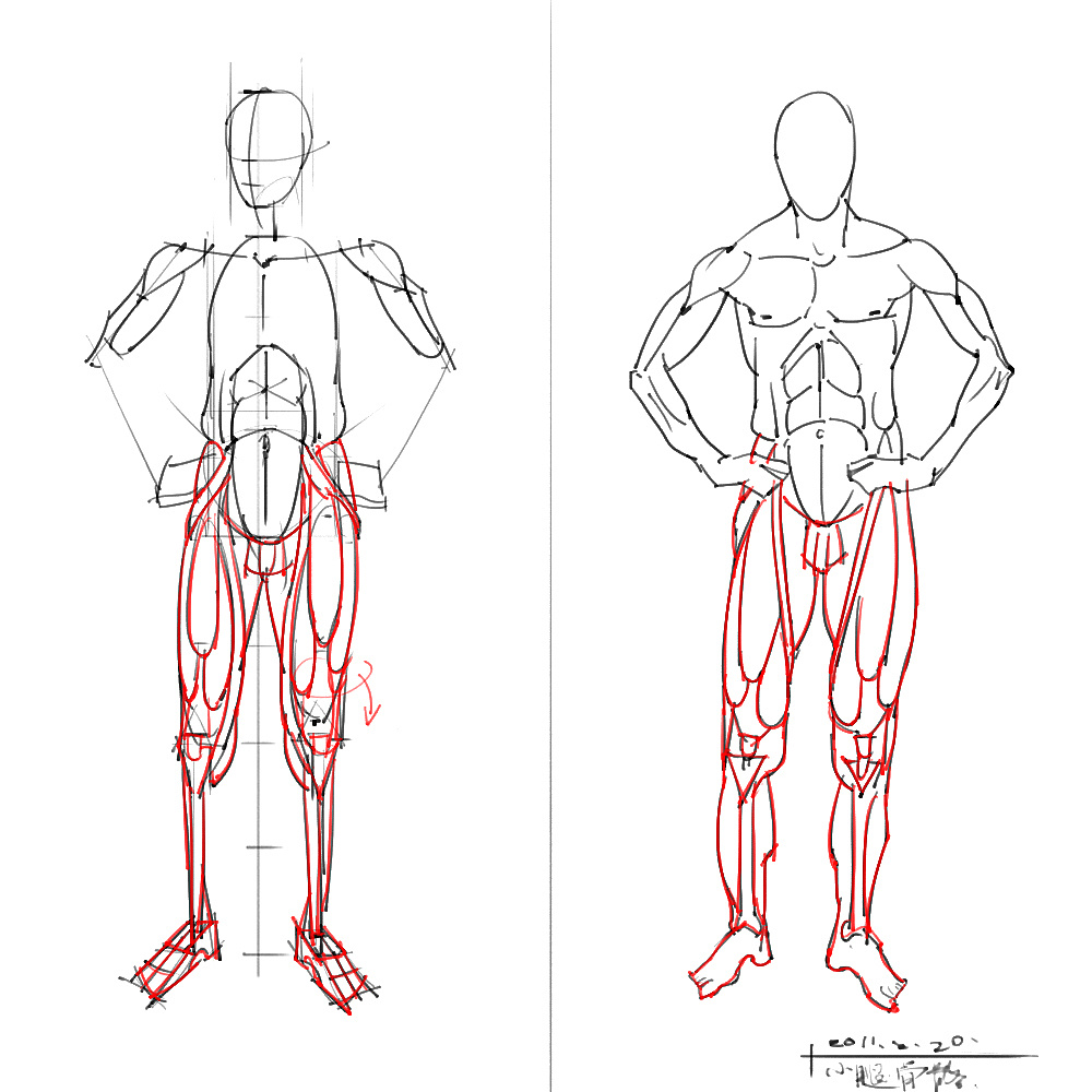 「動漫設(shè)計」分享一波繪畫專用人體解剖素材 part 04