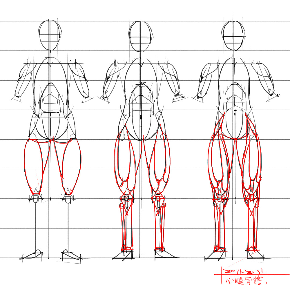 「動漫設(shè)計」分享一波繪畫專用人體解剖素材 part 04