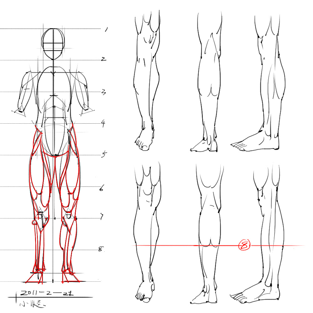 「動(dòng)漫設(shè)計(jì)」分享一波繪畫專用人體解剖素材 part 05