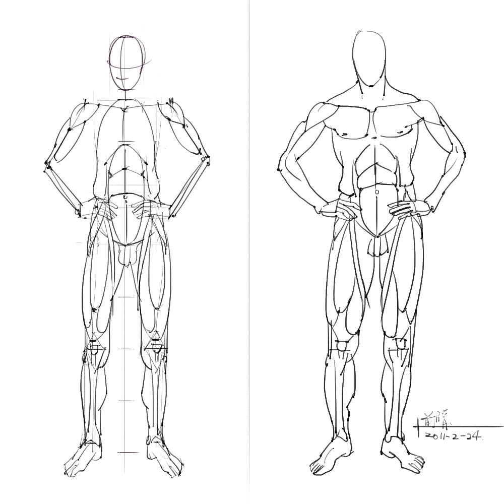 「動(dòng)漫設(shè)計(jì)」分享一波繪畫專用人體解剖素材 part 05