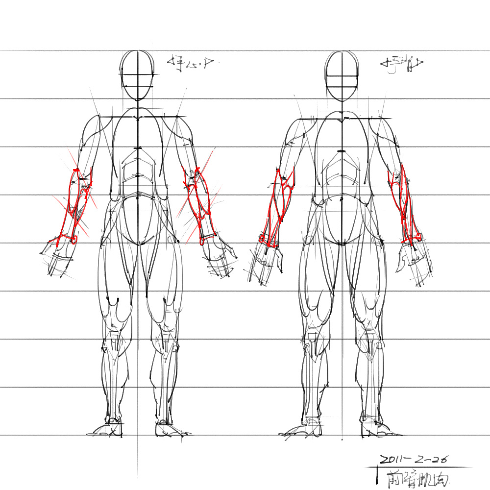 「動(dòng)漫設(shè)計(jì)」分享一波繪畫專用人體解剖素材 part 06