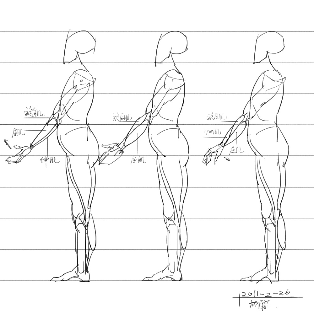 「動(dòng)漫設(shè)計(jì)」分享一波繪畫專用人體解剖素材 part 06