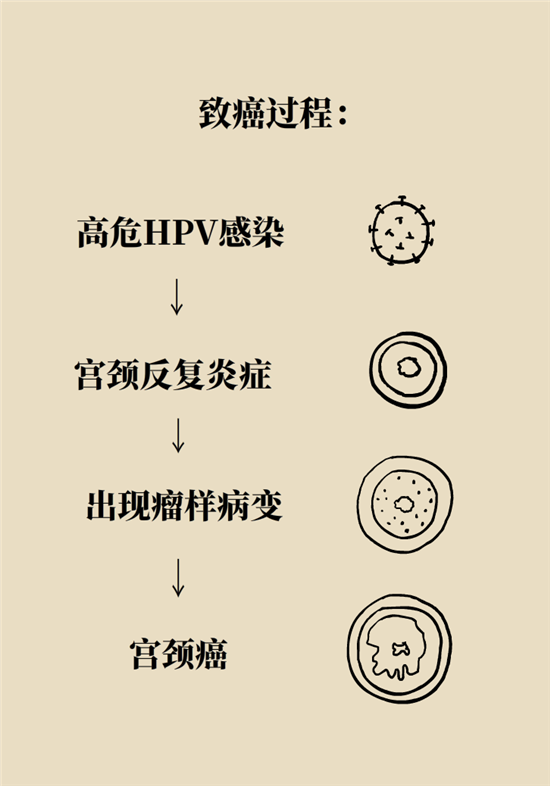 癌癥會(huì)傳染嗎？專家：這些高危因素得注意