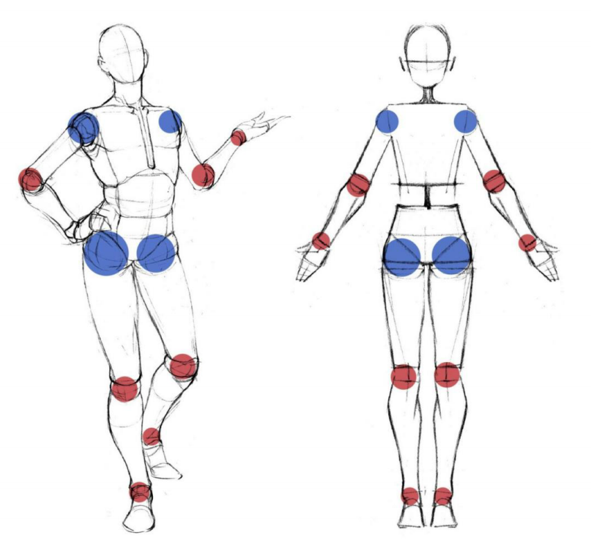 「動(dòng)漫設(shè)計(jì)」人體繪畫進(jìn)階 part 02 四大點(diǎn)八小點(diǎn)