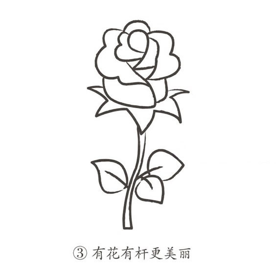 玫瑰花簡筆畫圖片大全