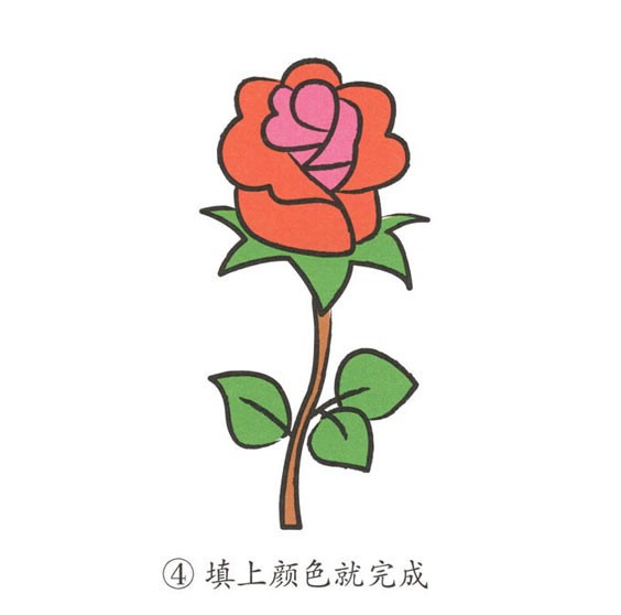 玫瑰花簡筆畫彩色圖片