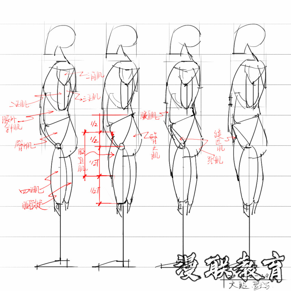 「動漫設(shè)計素材」分享一波繪畫專用人體解剖素材 part 08