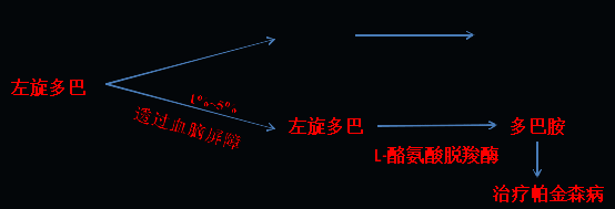 同樣的藥，為什么對他有效卻對你沒效果，可能得問腸道菌群