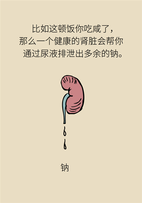 經(jīng)常憋尿會得急性腎炎？