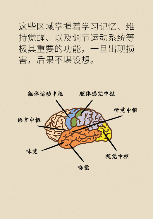 突然臥床癱瘓？請(qǐng)警惕低血糖的危險(xiǎn)信號(hào)