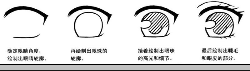 下面我們來(lái)介紹仰視眼睛的簡(jiǎn)單繪制步驟.jpg