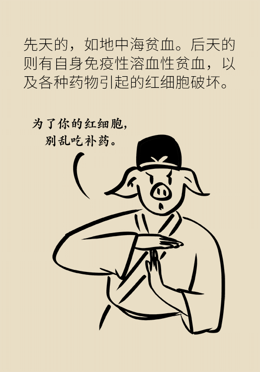 貧血科普動漫制作