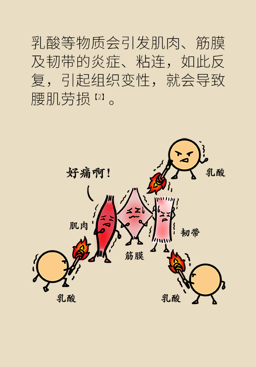 久坐久站致腰肌勞損？六招教你戰(zhàn)勝腰痛