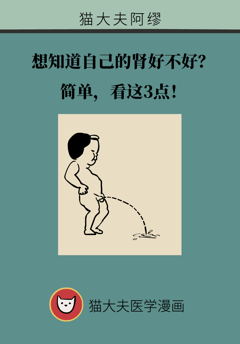 醫(yī)學(xué)腎知識(shí)科普