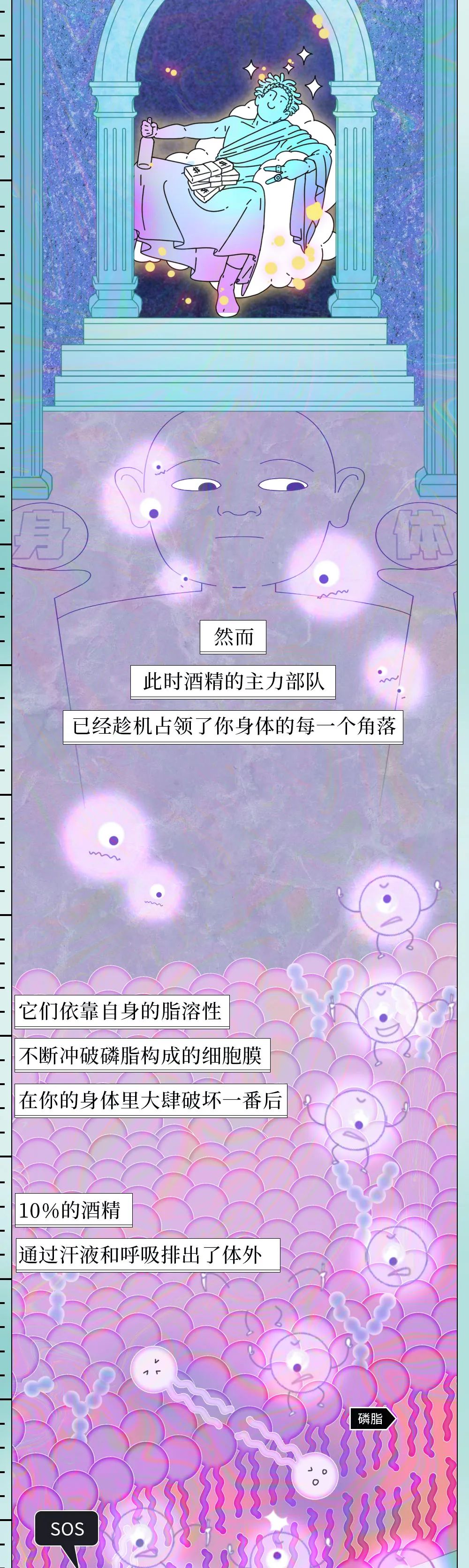 酒精醫(yī)學(xué)知識(shí)科普動(dòng)漫制作