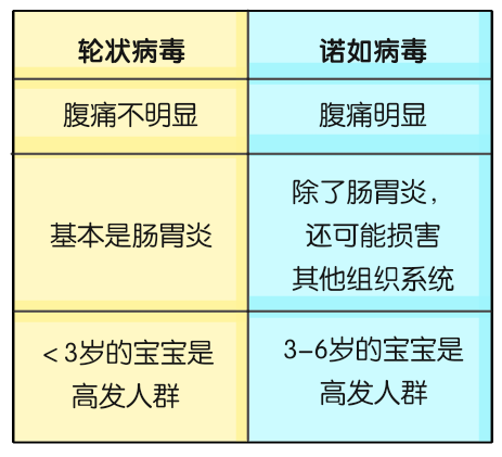 醫(yī)學諾如病毒科普動漫制作