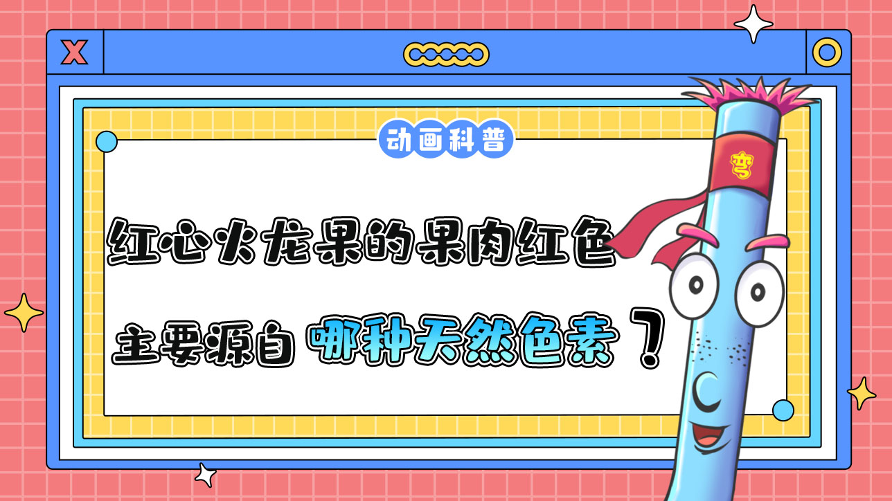 紅心火龍果的果肉之所以是紅色，主要源自哪種天然色素呢？.jpg