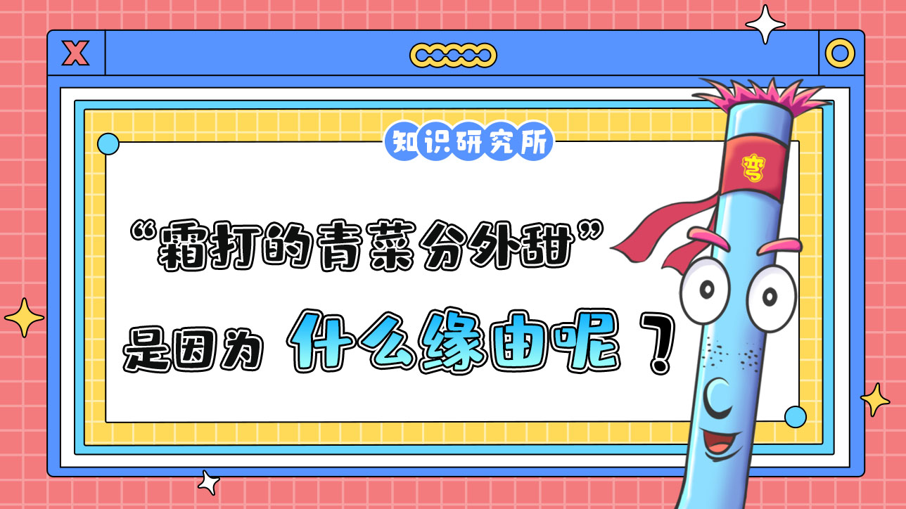 俗話(huà)說(shuō)“霜打的青菜分外甜”，是因?yàn)槭裁茨兀?jpg